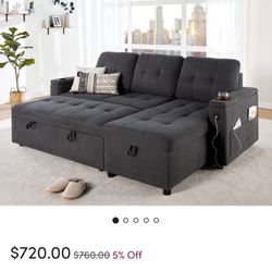 Sleeper Sofa w/ Storage 
