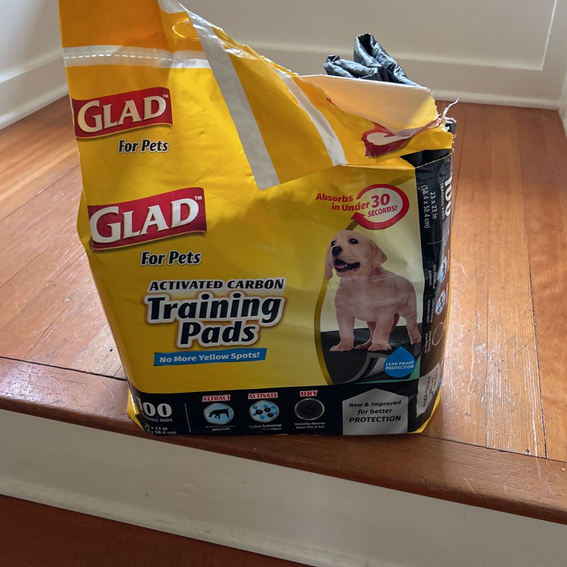 Pet Pee Training Pads, FREE