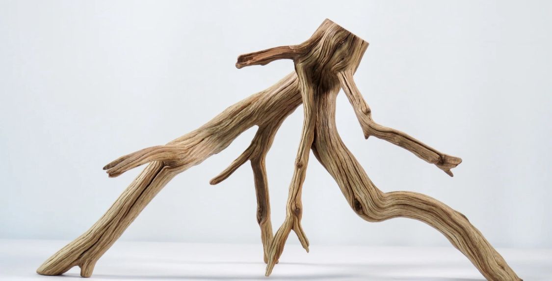 Manzanita Branches For Aquarium And Terrariums