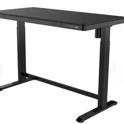 Flexispot EB8B Adjustable Standing Desk 