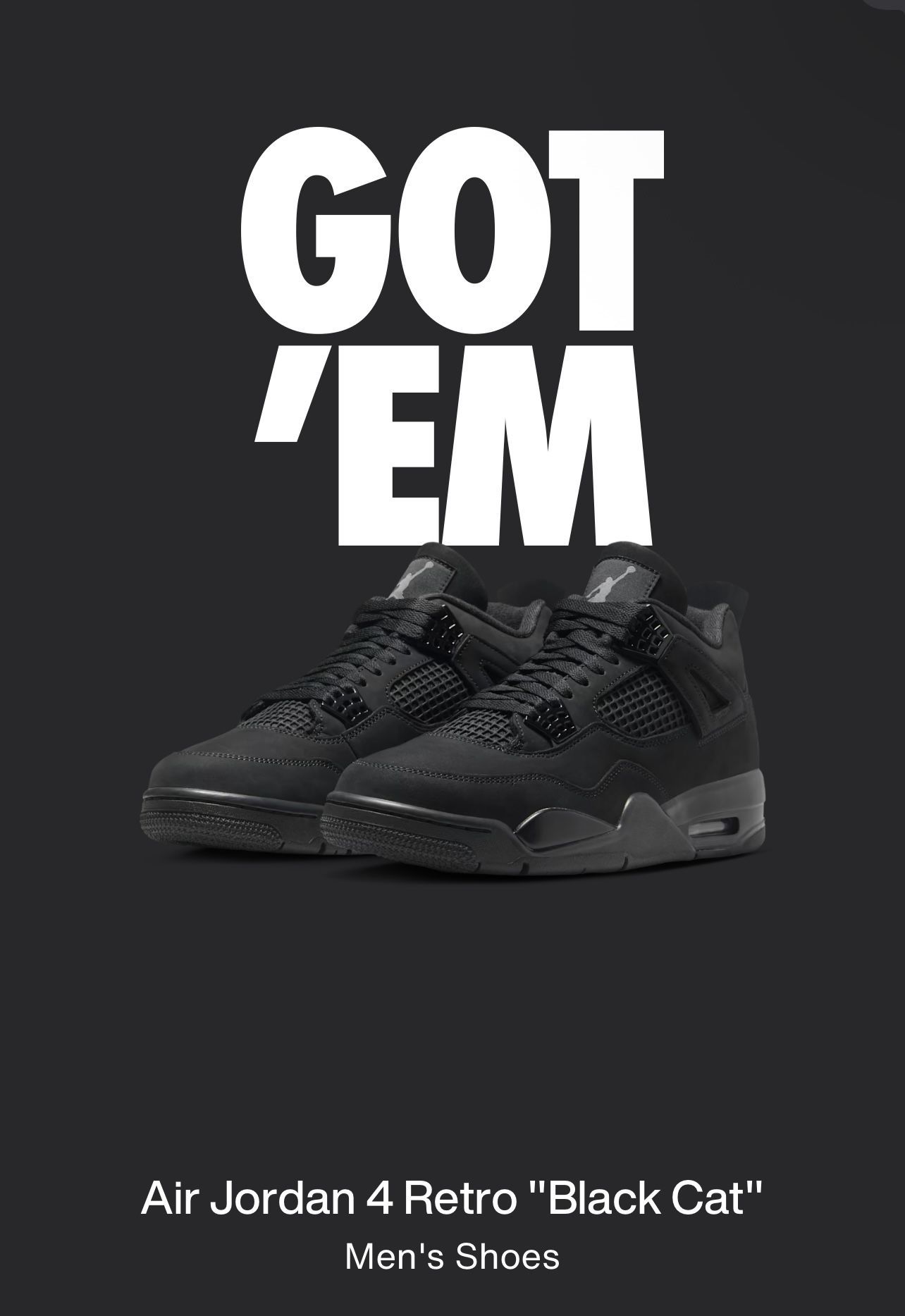 Jordan 4s Black Cat (2025)