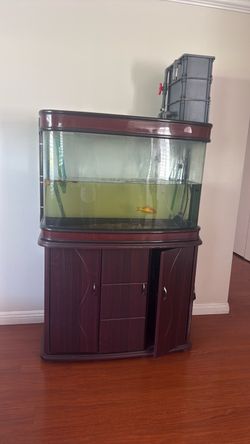 fish tank free temple City