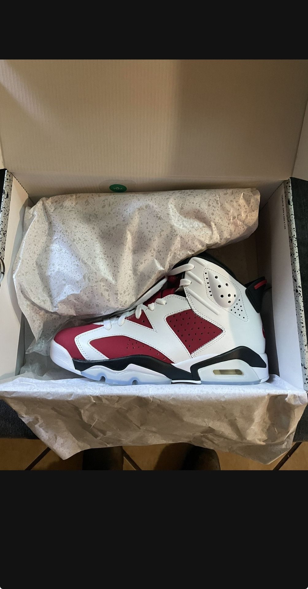 Air Jordan 6 