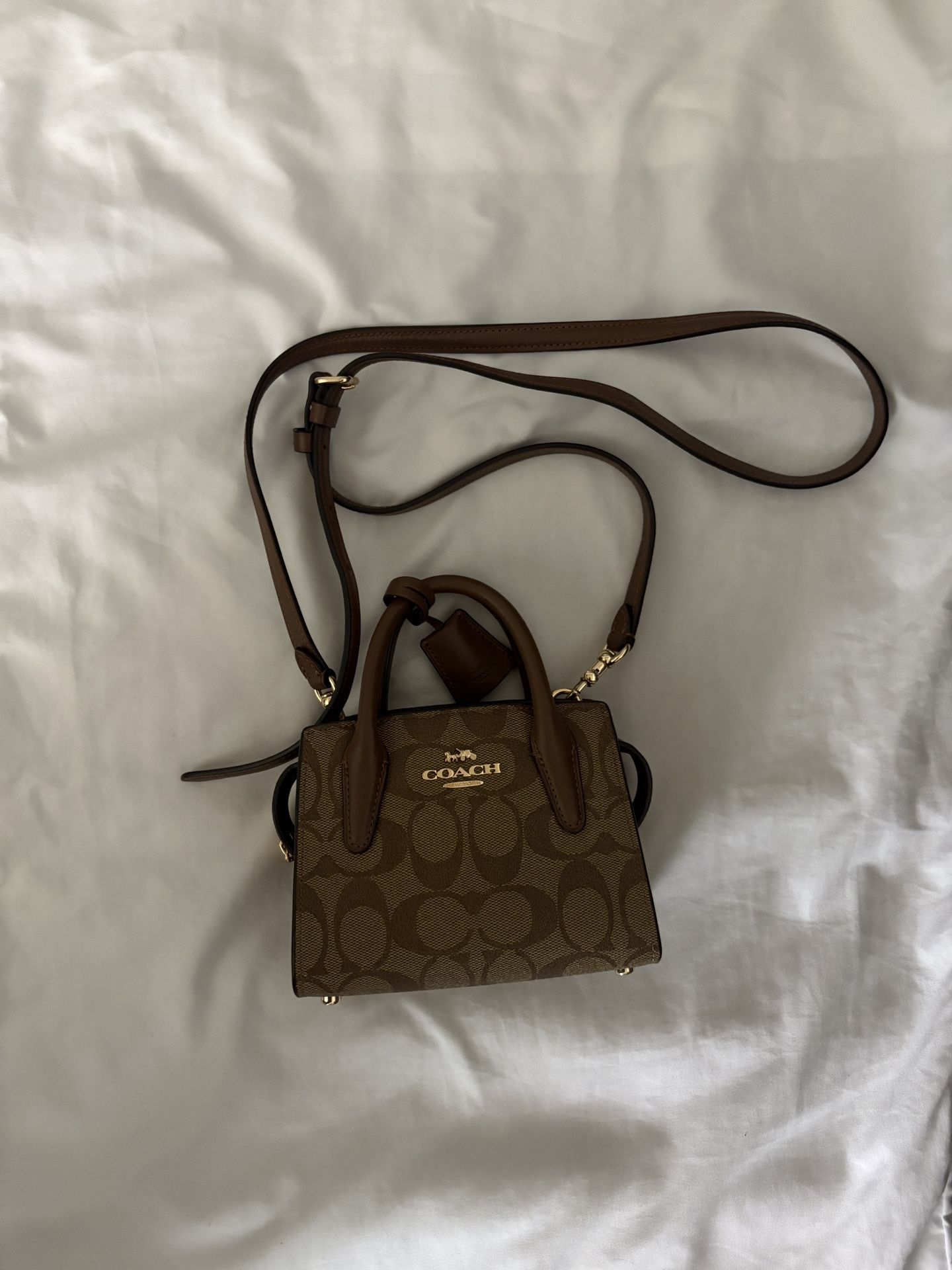 Coach Andrea Carryall 