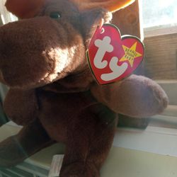 Original Choclate Moose • Beenie Baby