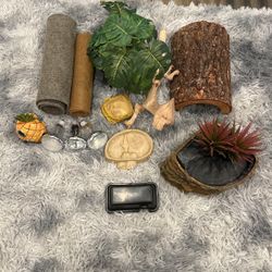 Free Reptile Supplies 
