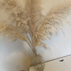 Pampas Grass And Vase 