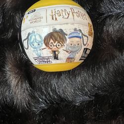 Harry Potter Collectible Capsule Tag