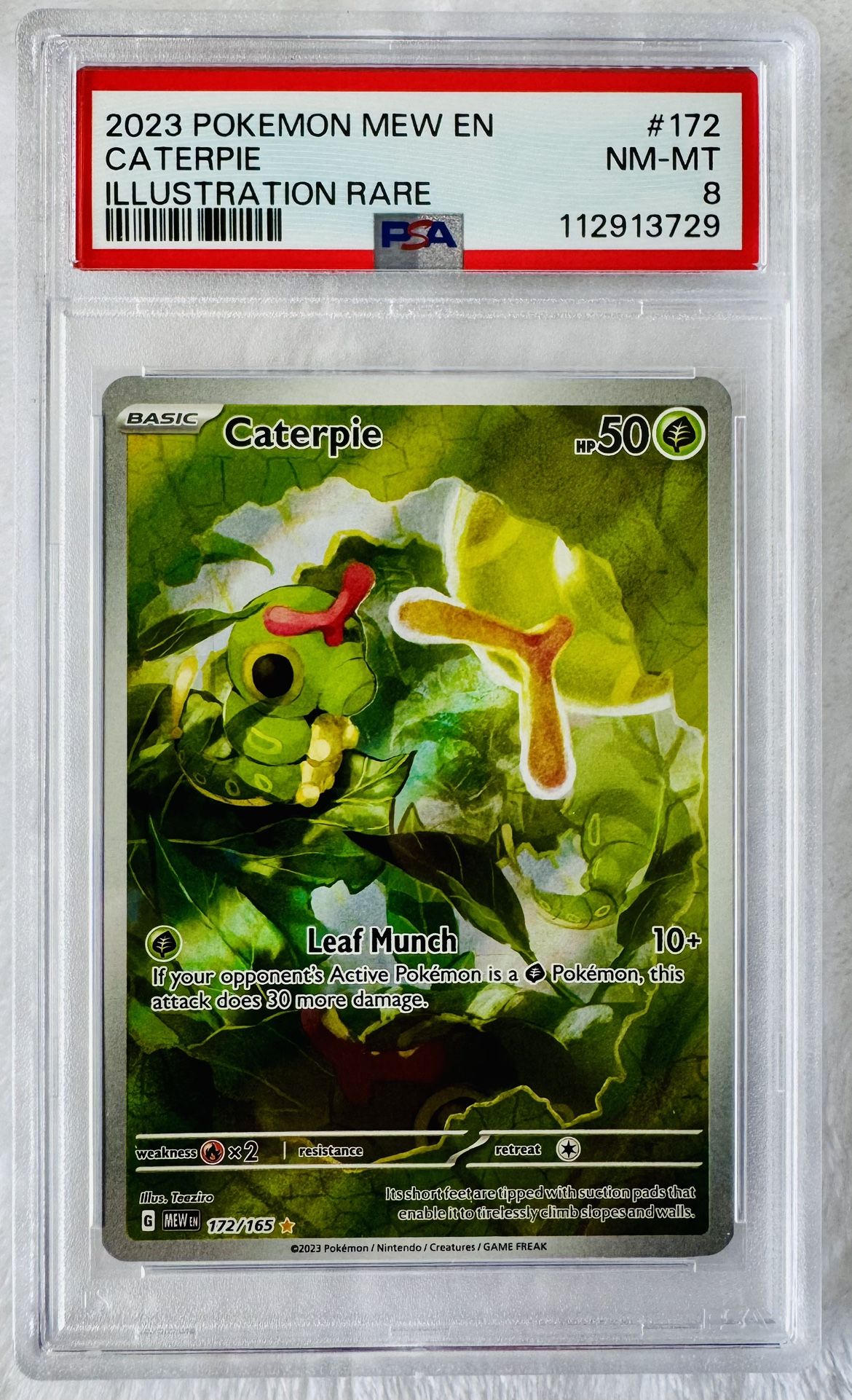 Caterpie Illustration Rare - 2023 Pokemon 151 - PSA 8 Near Mint