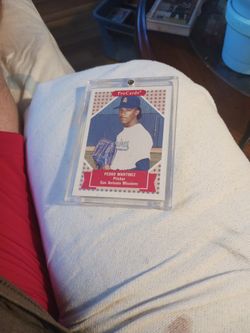 Pedro Marinez Rookje 