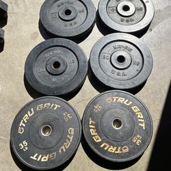 Olympic Bumper Weight Plates