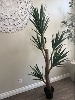 6.5 FT Yucca Tree - UV Treated Indoor/ Outdoor