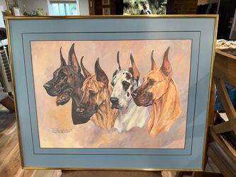 Limited edition Print -Four Great Dane Heads by Marcia Van Woert #177/500 Signed