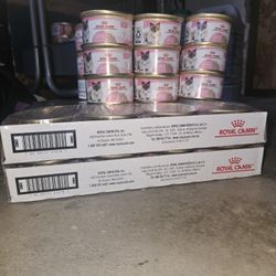 Royal Canin Wet Food