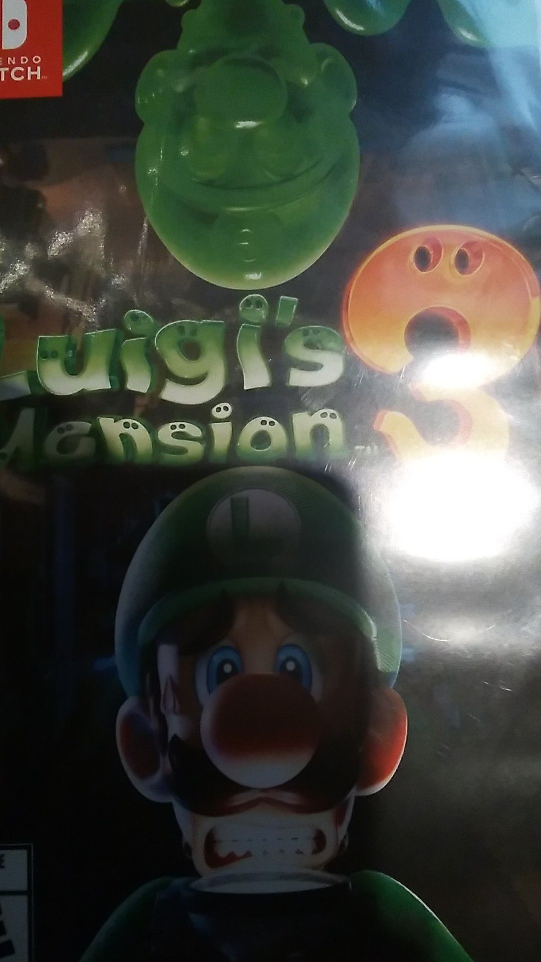 Luigis manison