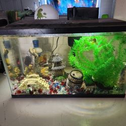 10 Gallon Fish Tank