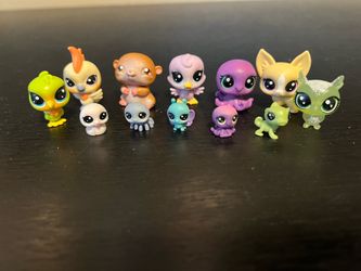 Pet shop toys