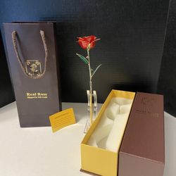 14k gold Dipped Real Rose w/ certificate