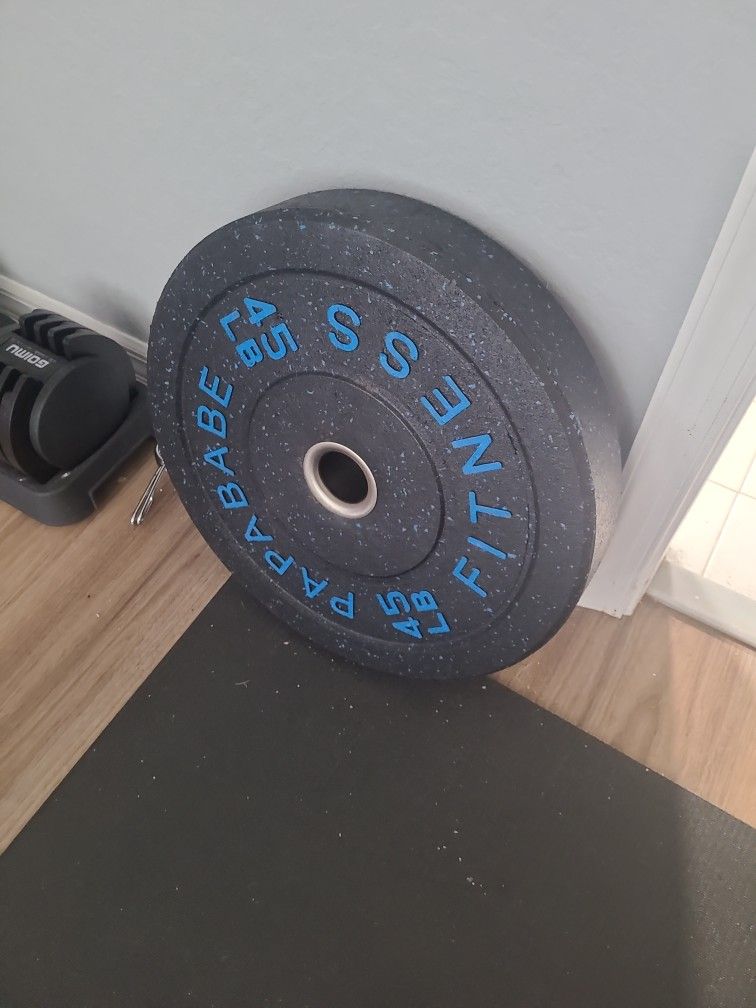 45 Lbs Plates (set of 2)