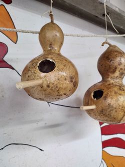 Birdhouse