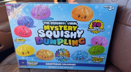 RMS dumpling calender🥟✨