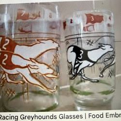 Vintage Greyhound Racing Glasses