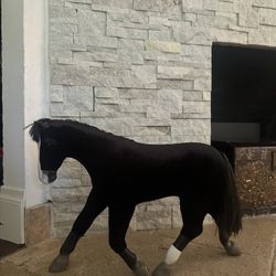 American Girl Doll Horse