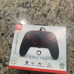Nintendo Switch Controller