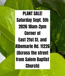 Plant Clearance Sale!