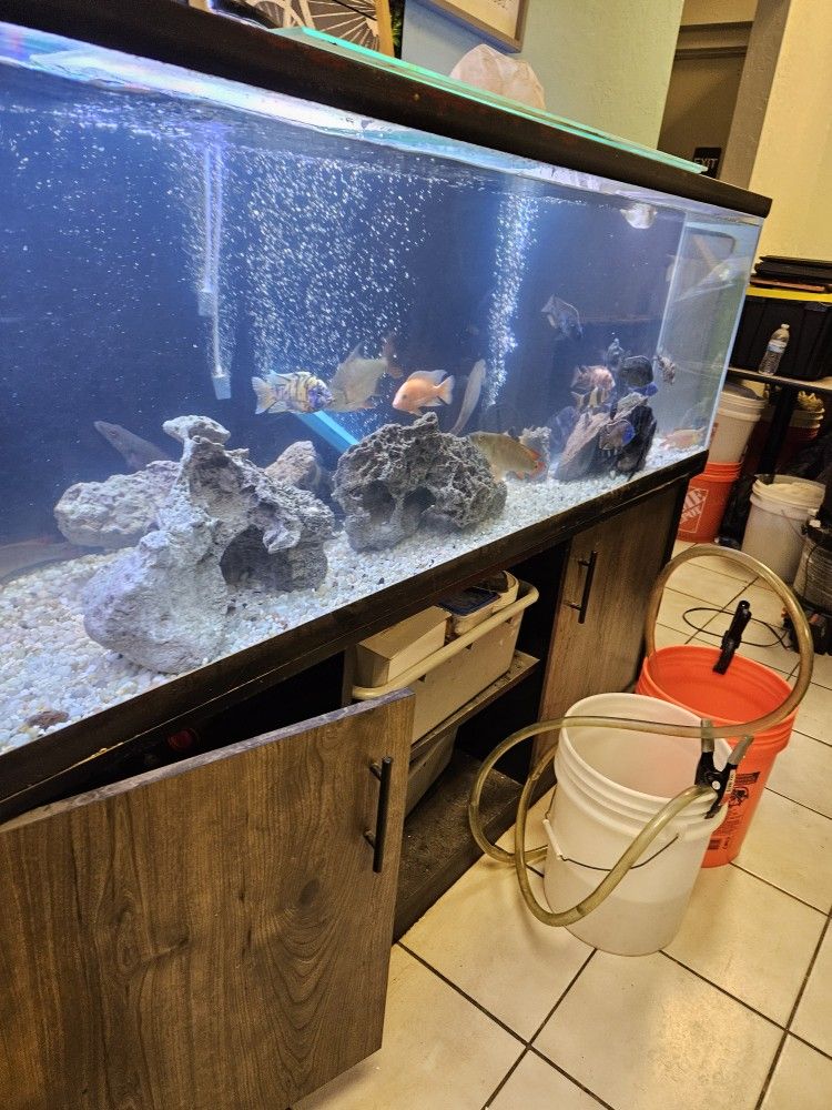 125 Gallon Fishtank For Sale
