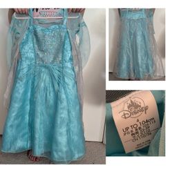 Elsa Halloween Costume 