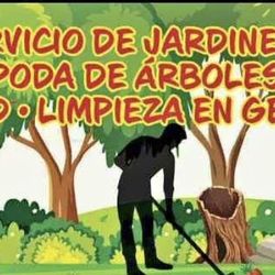 Jardín