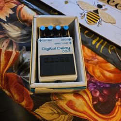 Digital Delay Guartar