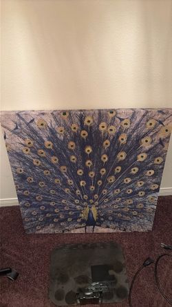 Peacock Painting