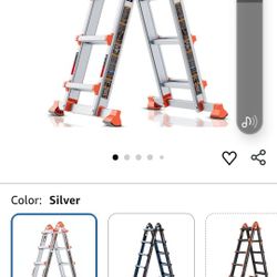Lanbitou Multitask Ladder