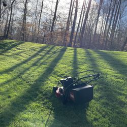 Lawn Care. Grass Cut