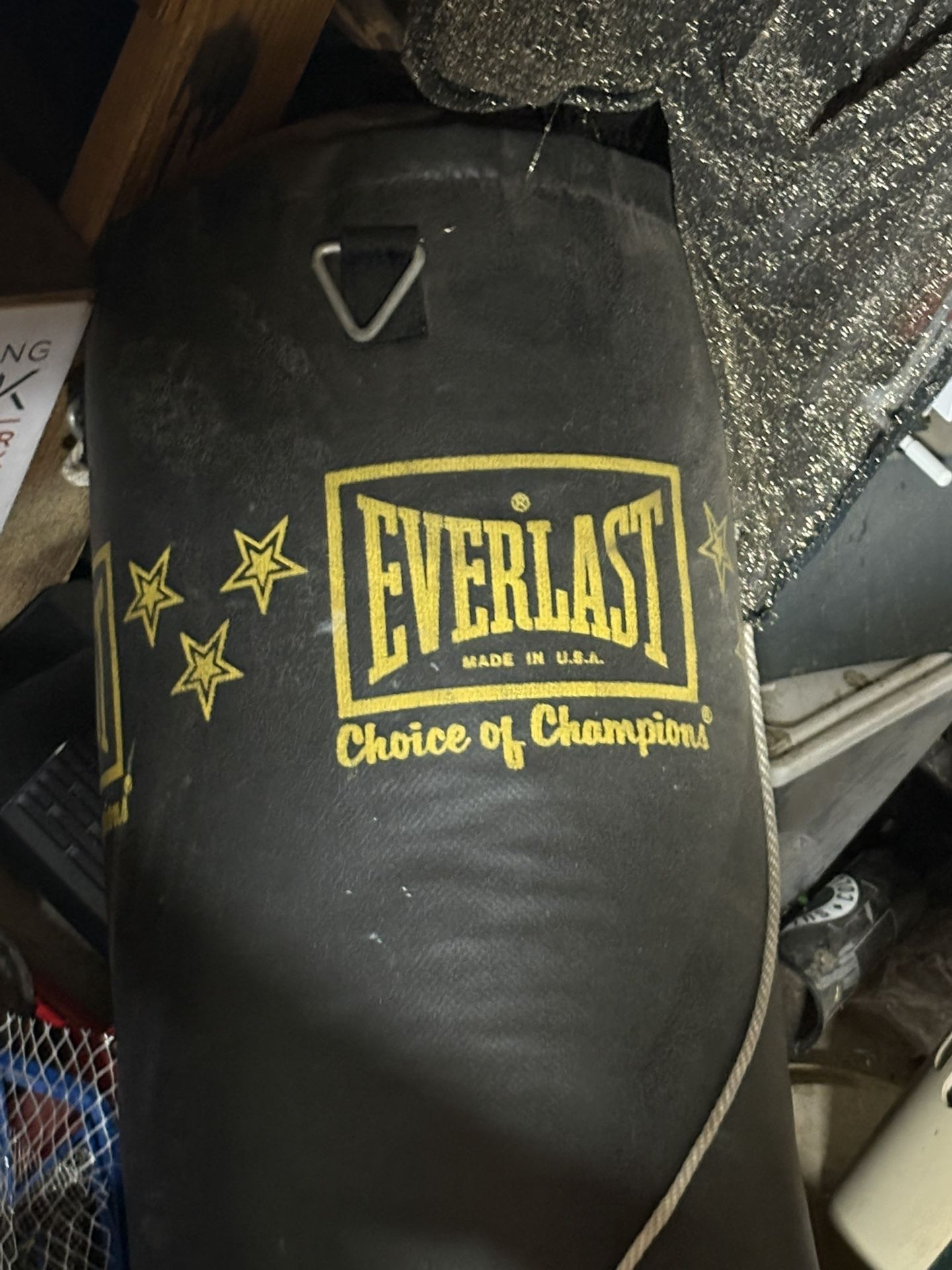 Everlast Punching Bag