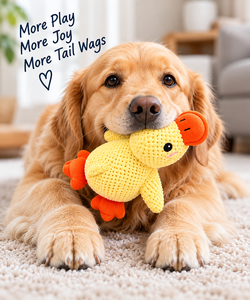Cute Plush Dog Toys – 2 Styles Available