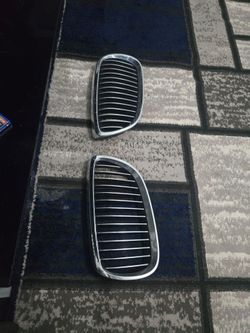 Bmw kidney grills