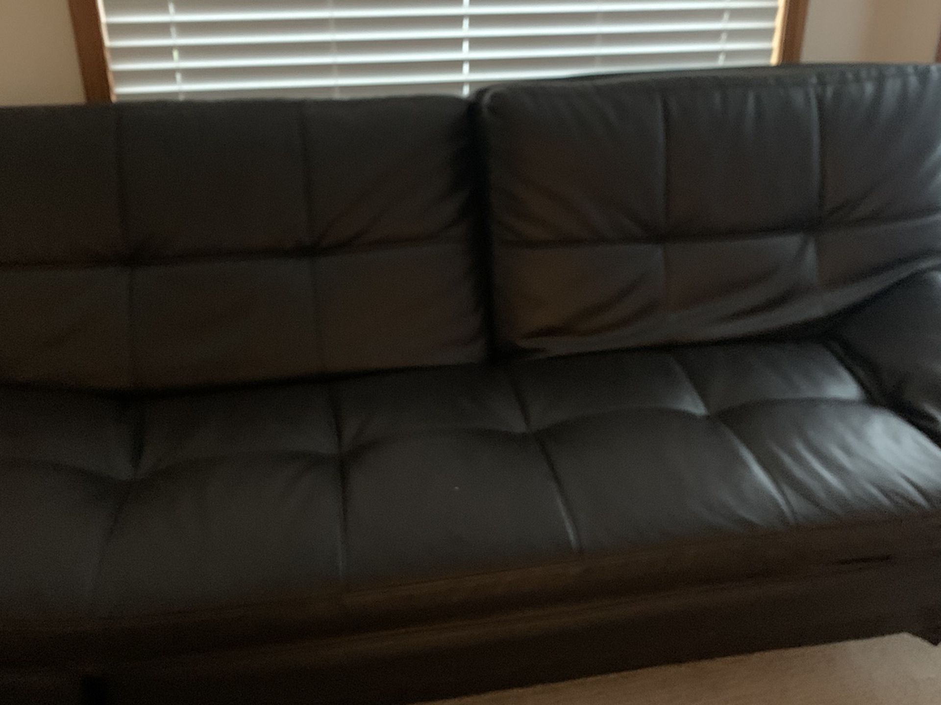 Leather Futon Bed