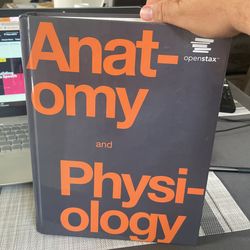 Anatomy And Physiology 