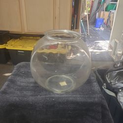 Glass goldfish bowl