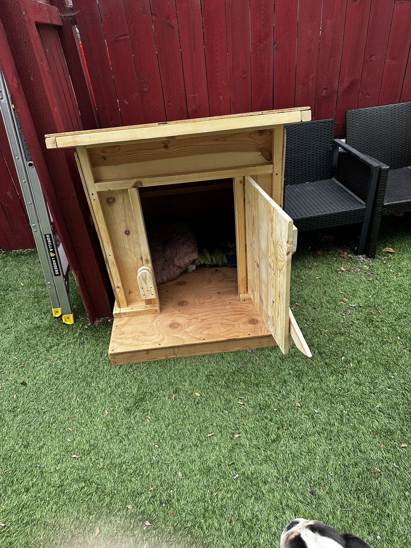 Dog House