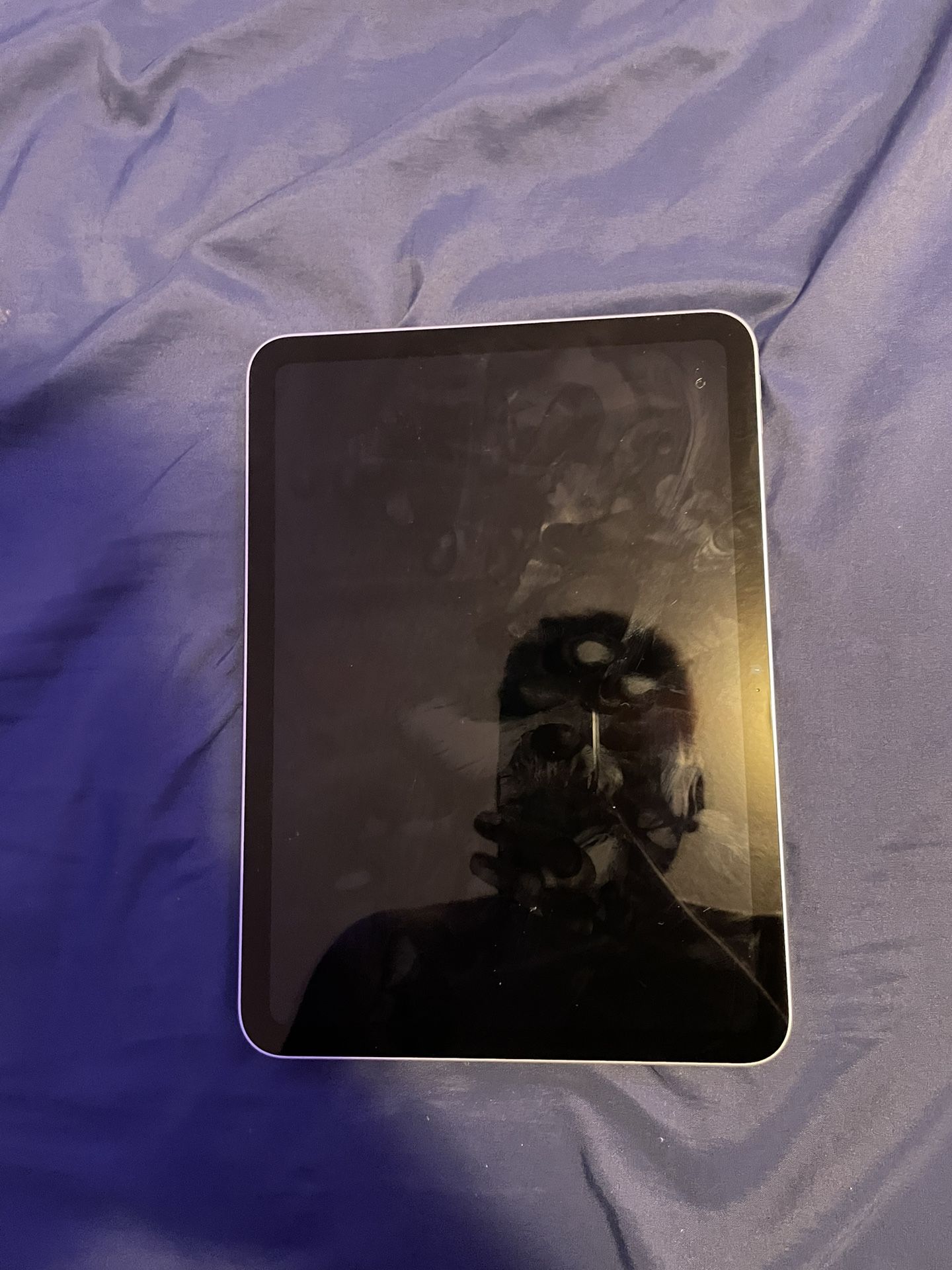 iPad Gen 10 256GB