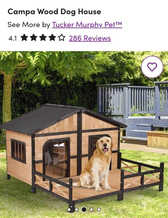 Large Outdoor Dog House