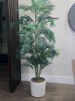 6' Faux Paradise Palm Tree In The Brown Basket Planter