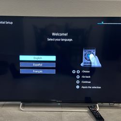 Sony Bravia HD TV and DVD player. 