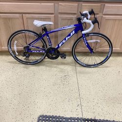 Fuji Ace 24” Kids Road Bike 14 speed