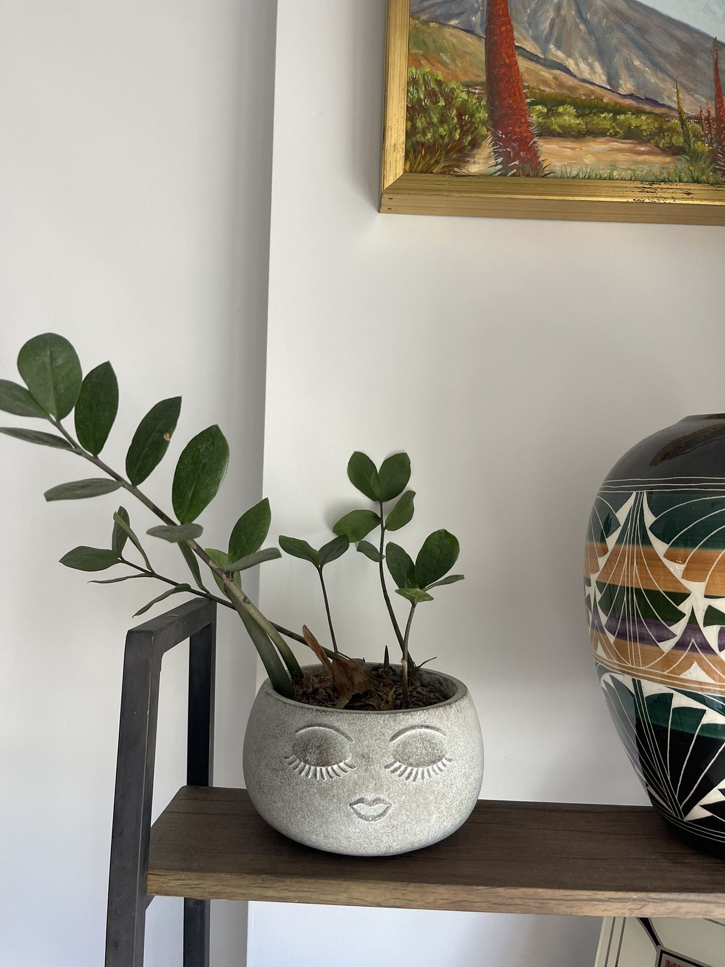 Happy Face Stone Planter Pot with Live Indoor ZZ Plant