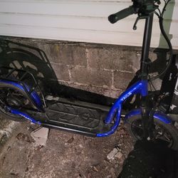 Tail G Electric Scooter 